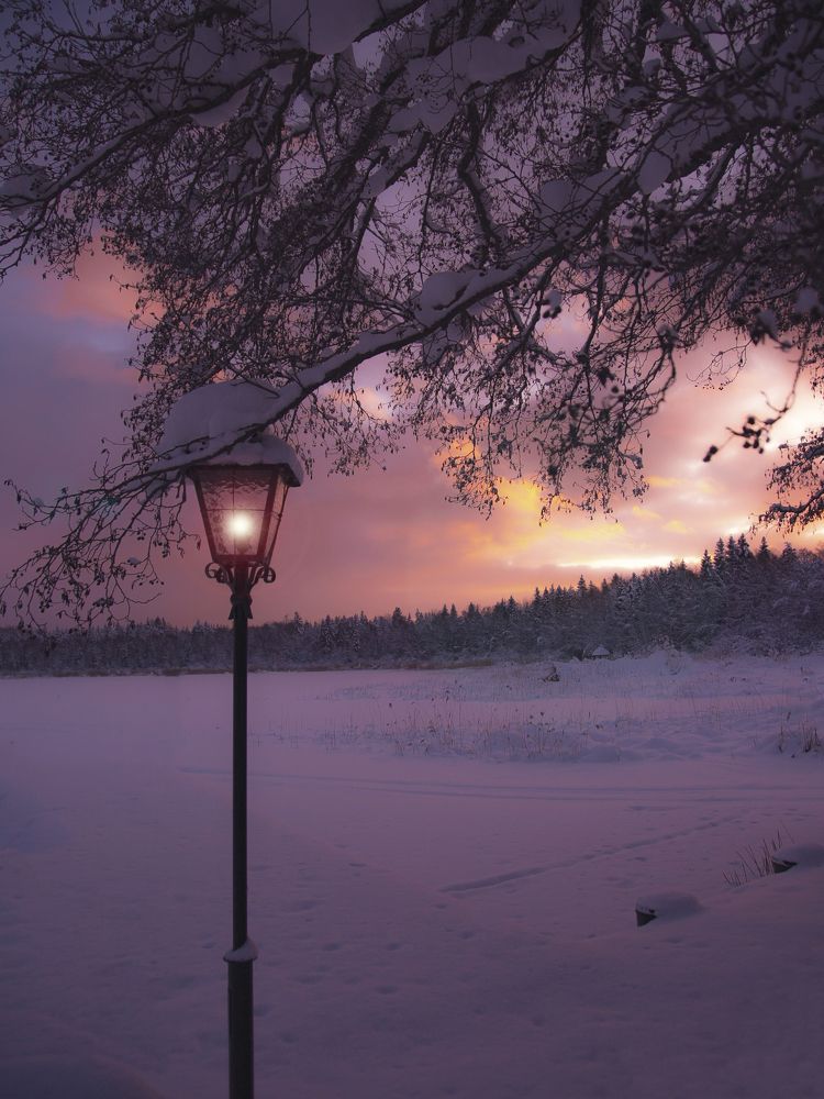 Photograph by Liudmila Drake