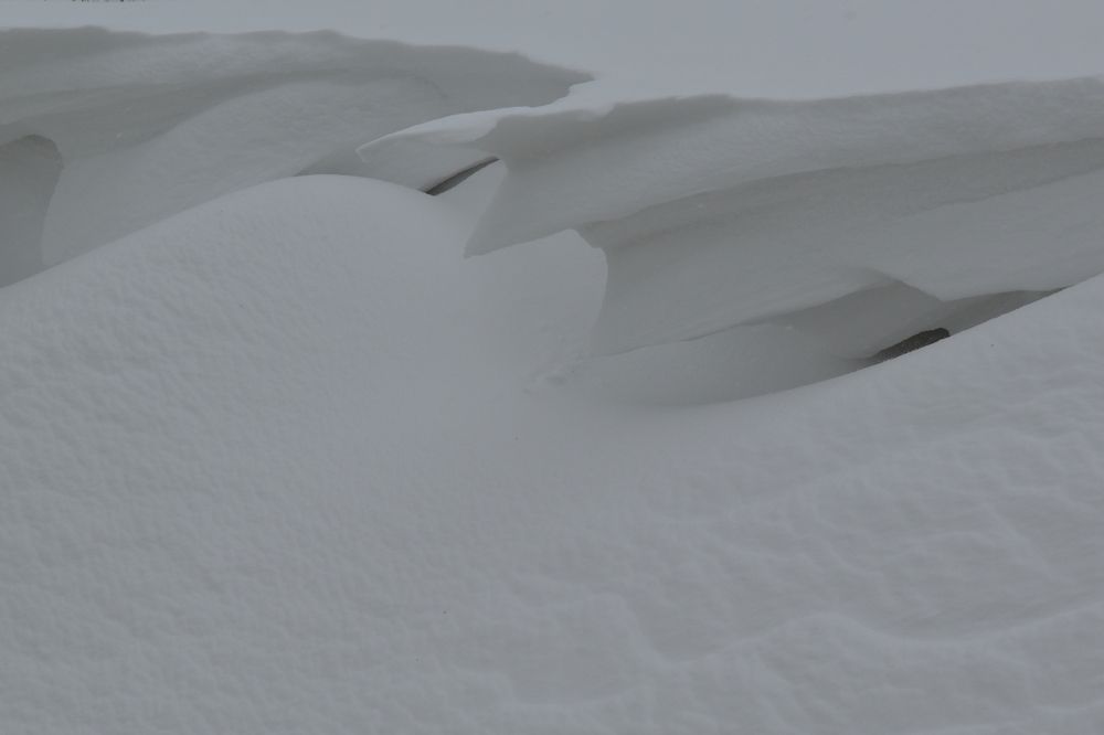 Photograph by Ivo Damen