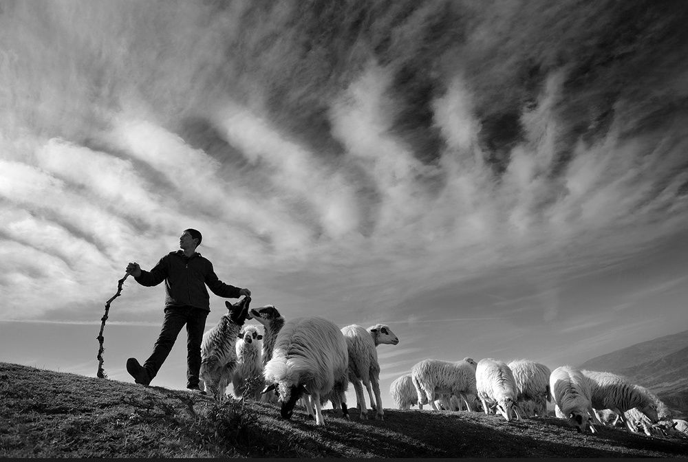 Photograph by Ramazan Yıldırım