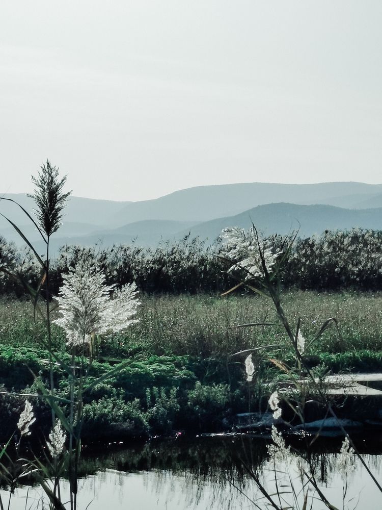 Photograph by Katya Goldenberg