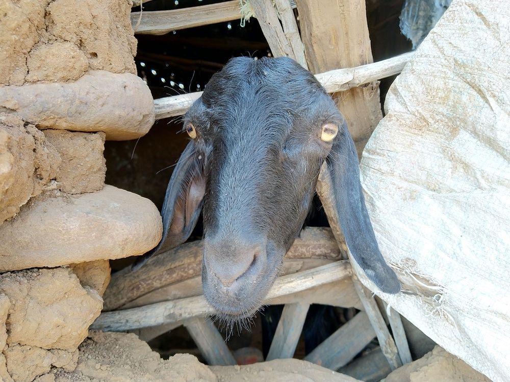 Photograph by sumit sitole