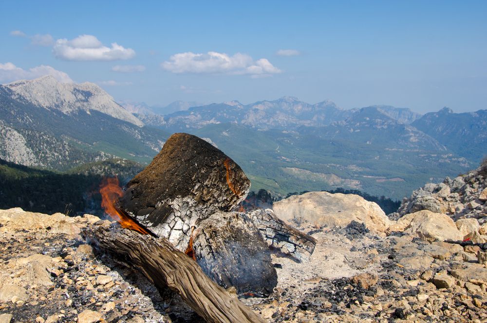 Photograph by Писаренко Оля