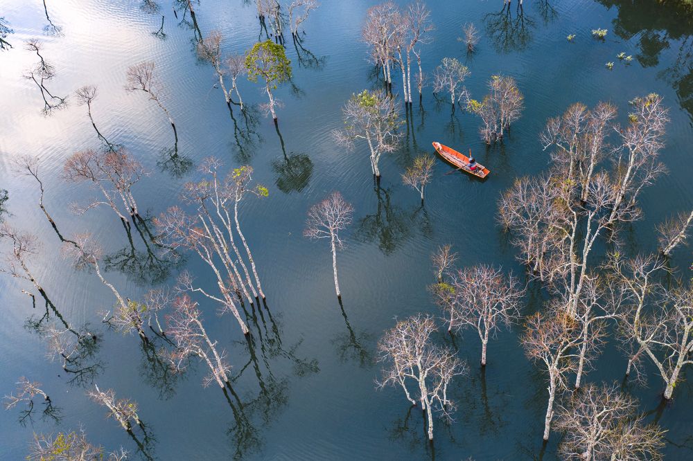 Loneliness in the Autumn’s morning
