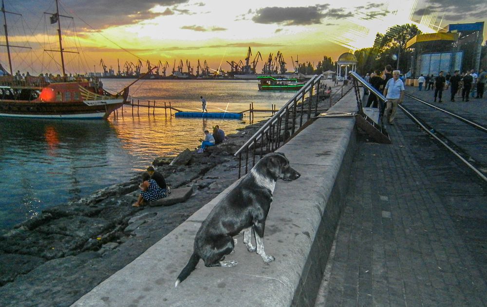 Photo #5823470