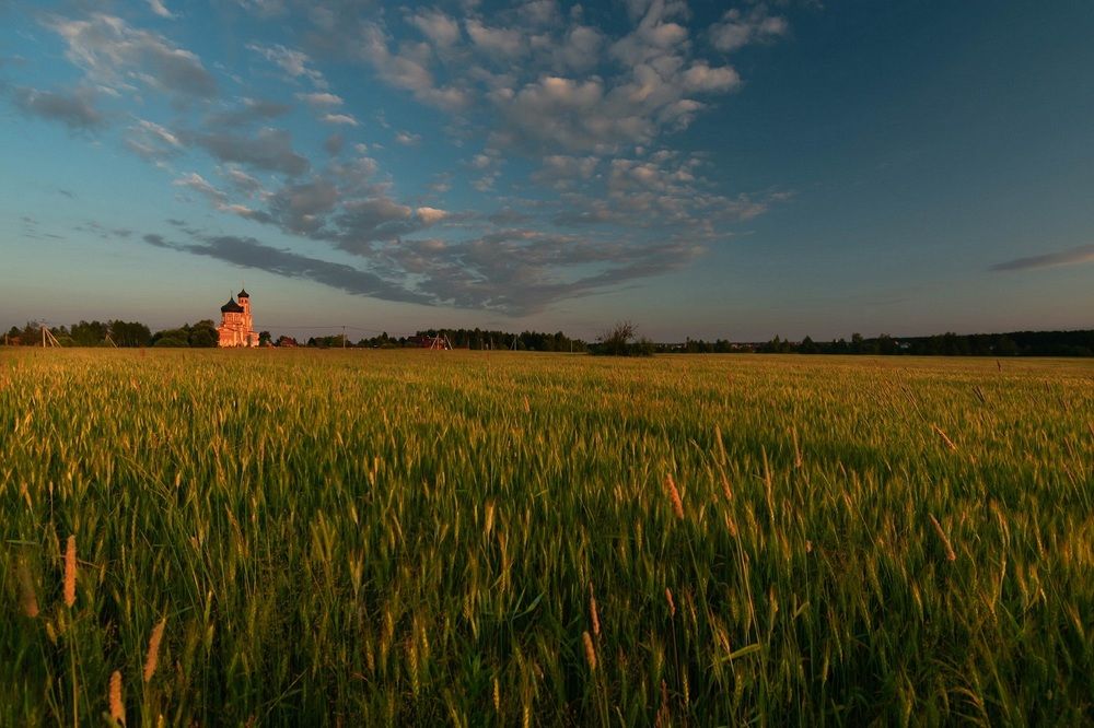 Расвет на поле