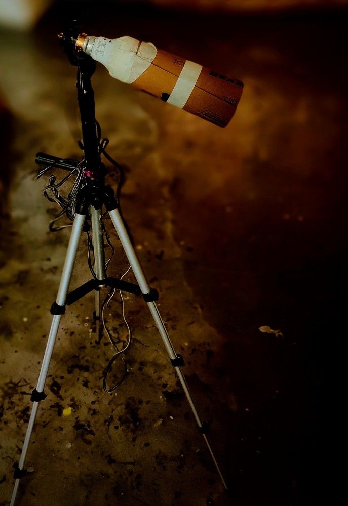 Фотография автора Santanu Dasgupta