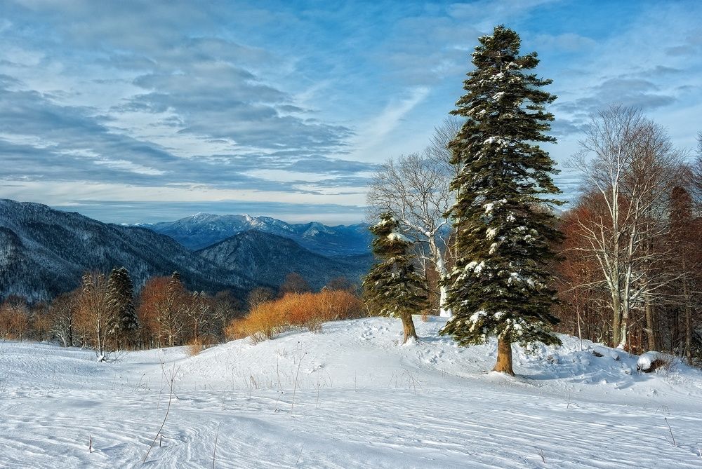 Фотография автора Сергей Павлов