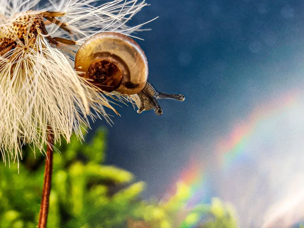 Photograph by Юлия Иванова