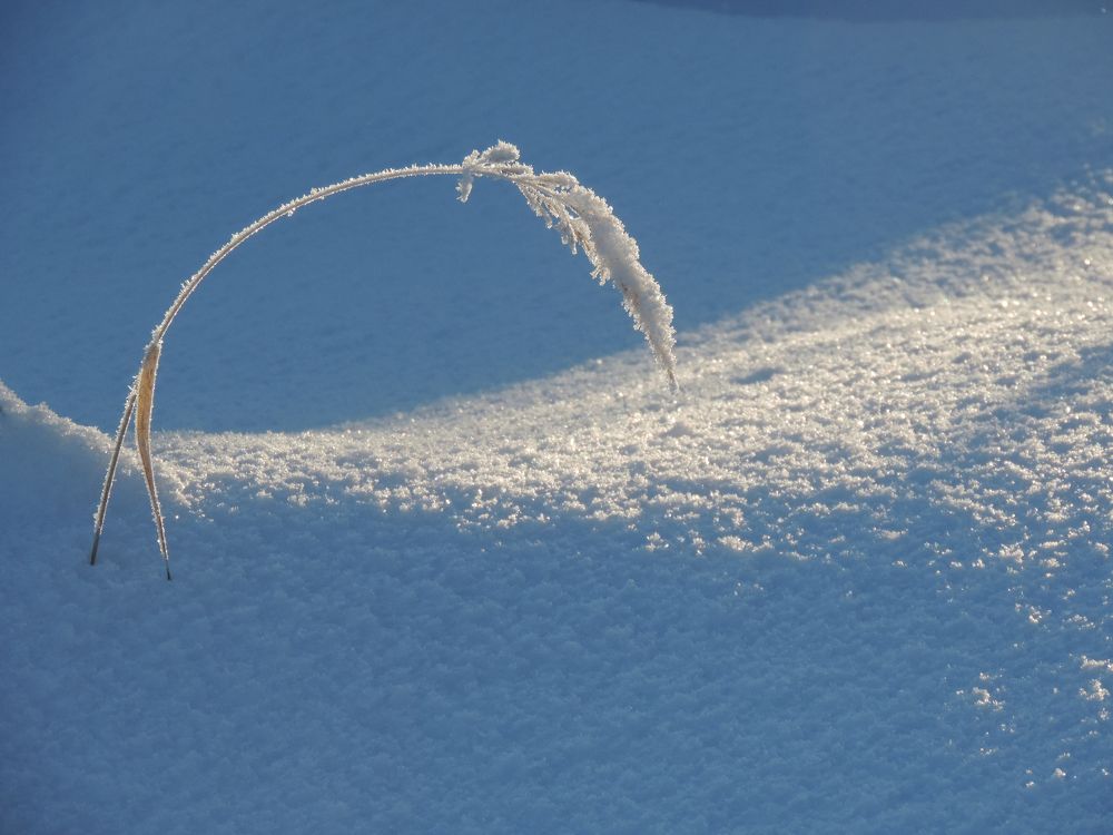 Photograph by Зоя Елизарьева