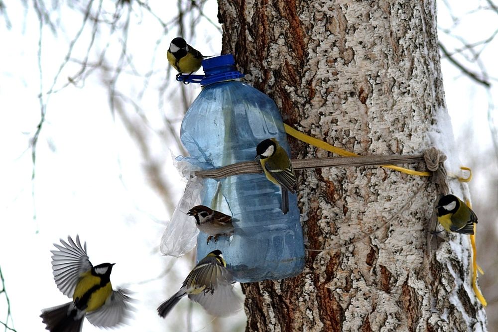 Кафе  " На Берёзе"