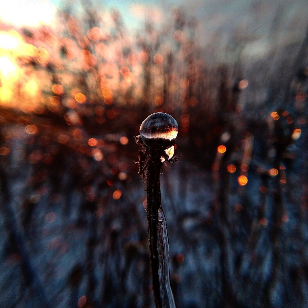 Photograph by Ольга Стариченко