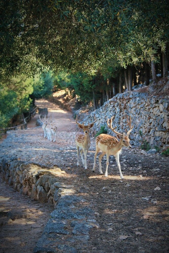 Photograph by Анастасия Сыротюк