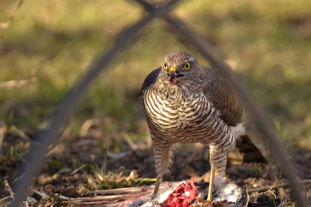 Photograph by Наталья