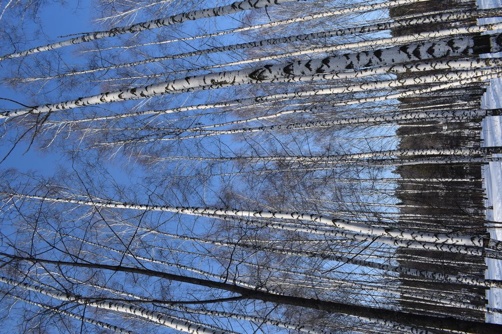 Photograph by Сергей Головин