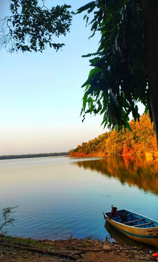 Фотография автора Parag Purkar