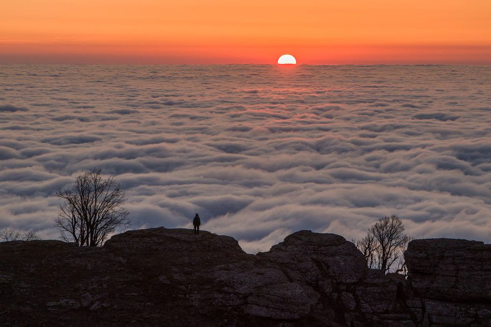 Photograph by Елена Покрепа