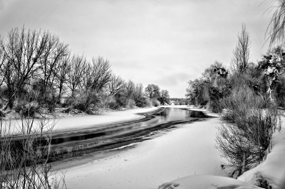 Photograph by Volkoff Mark