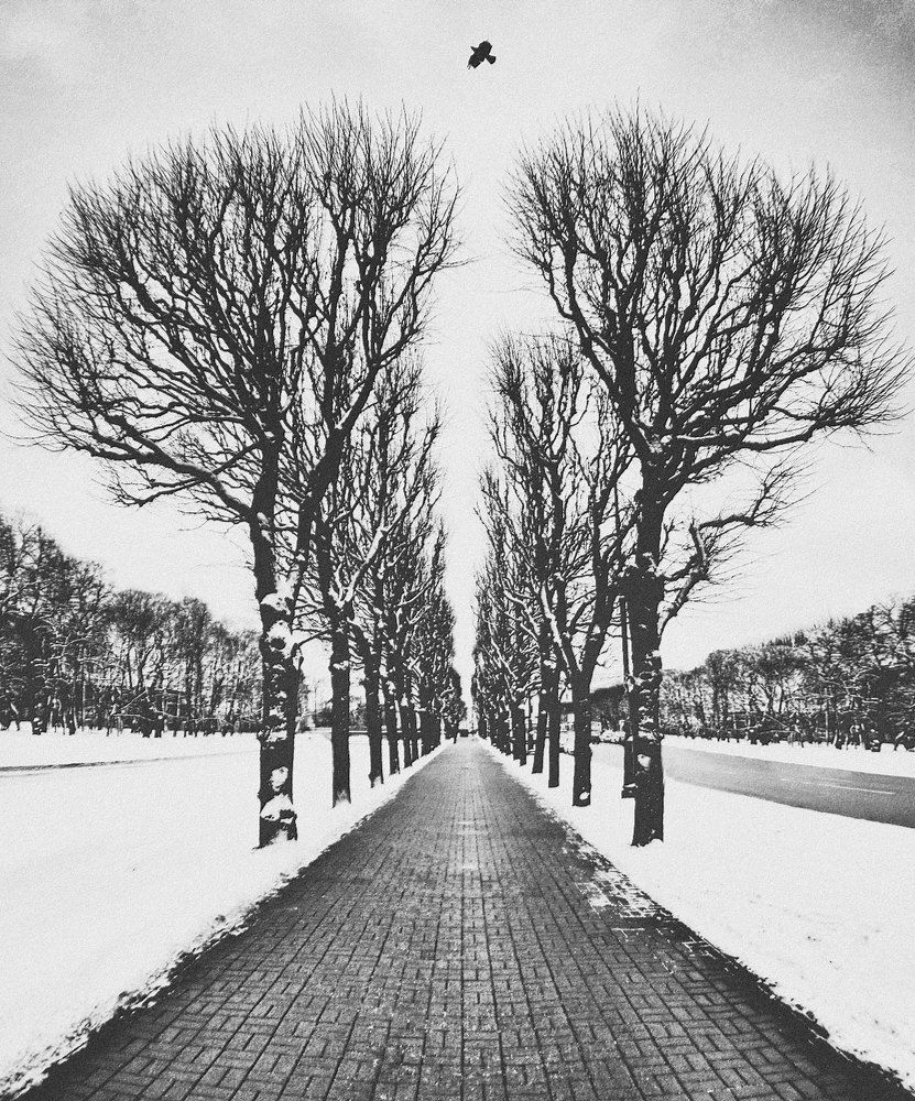 Где-то в СПб.