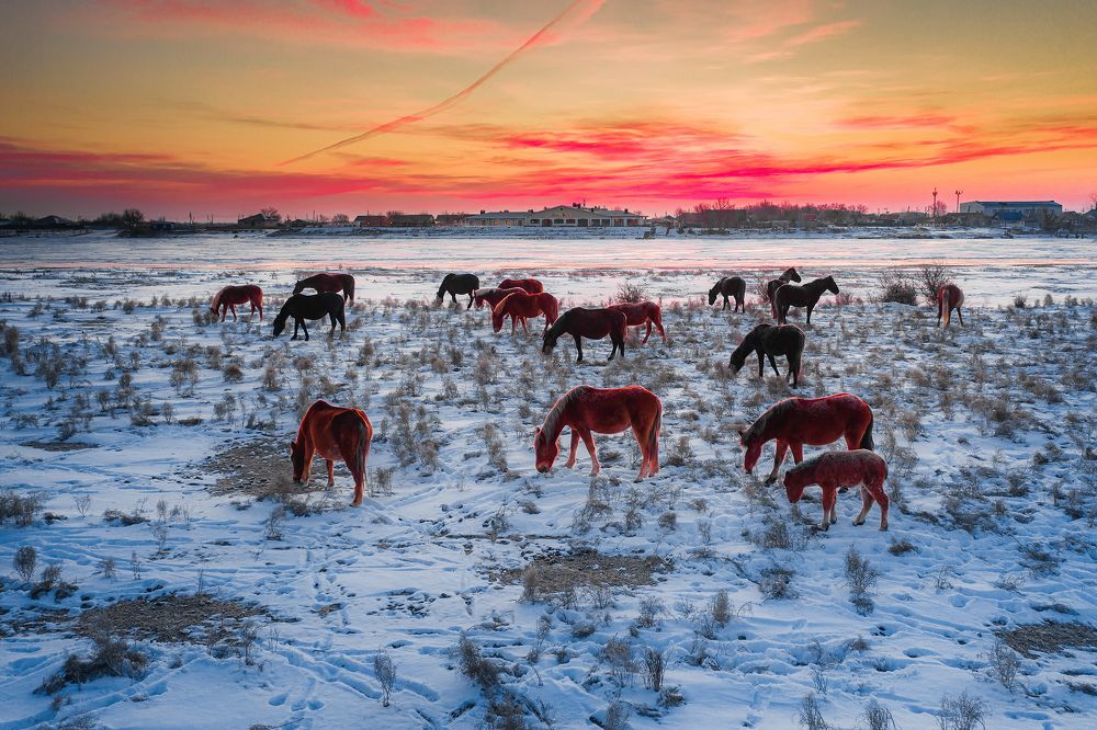 Photograph by Андрей Пугач