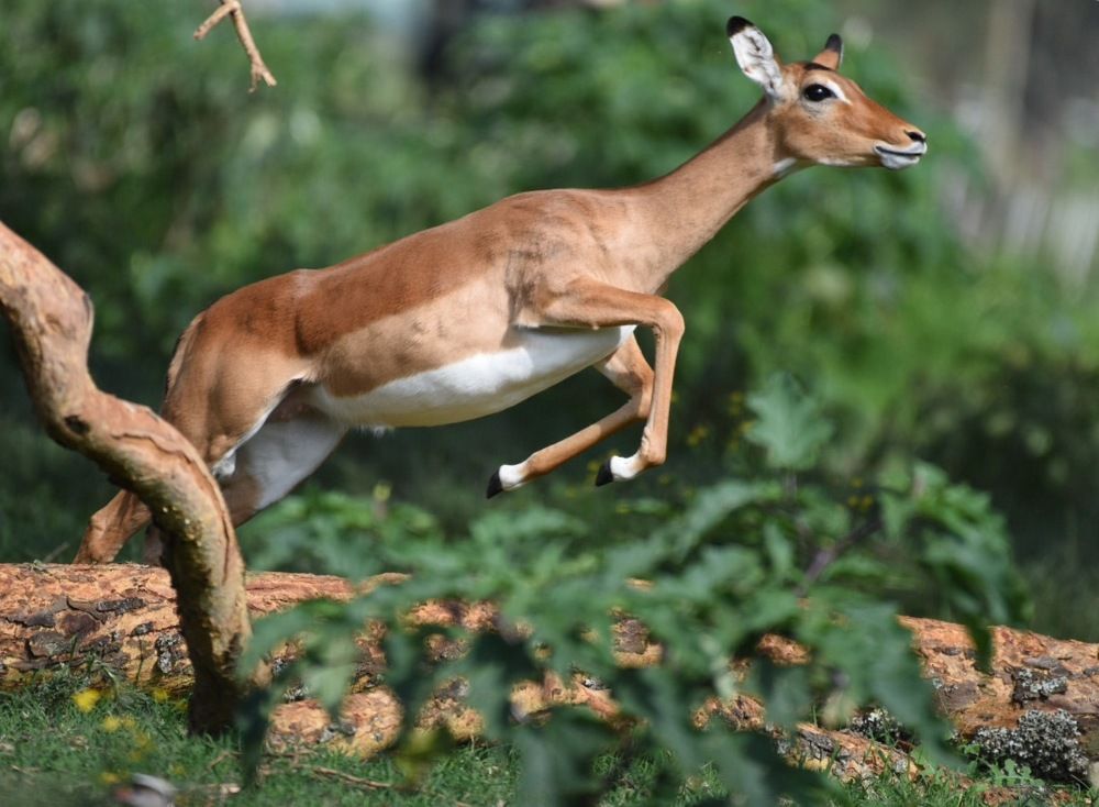 Photograph by Federico Genovese