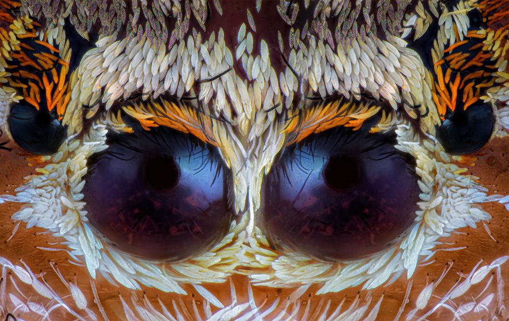 Photograph by Khalid Al-Wadhaihi