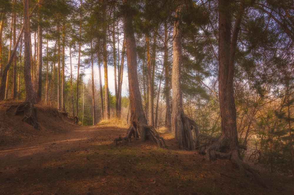 Photograph by Роман Любимский