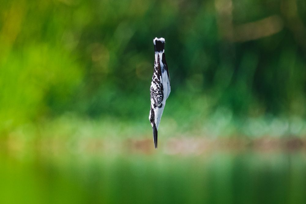 Photograph by Gimantha Perera