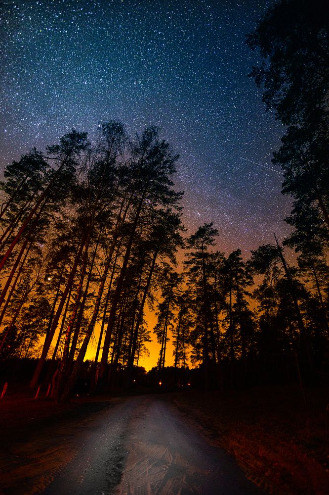 Photograph by Ignas Lazauskas