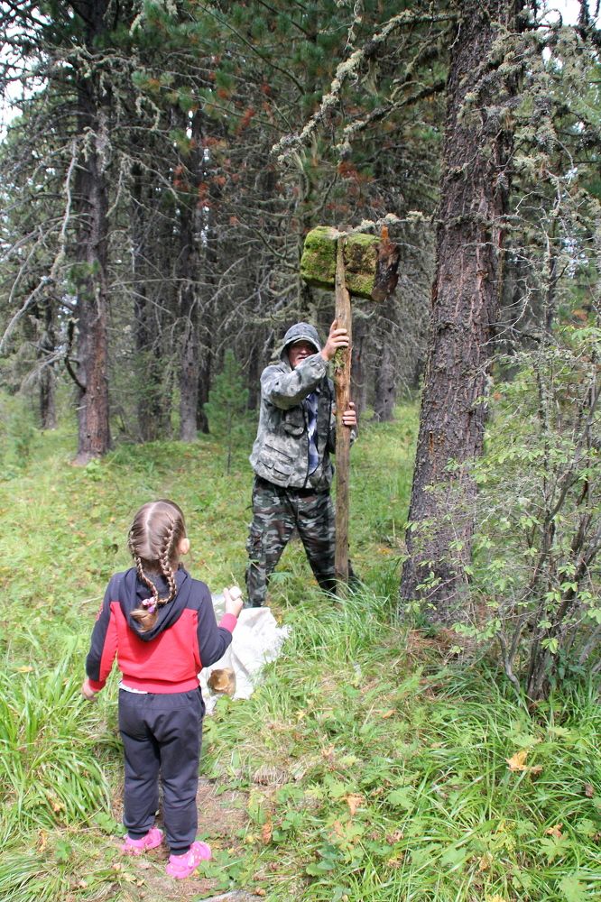 Photograph by Людмила Жданова