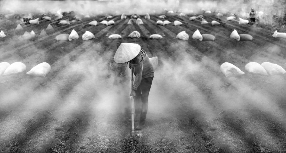 Фотография автора Quan Nguyen Ho