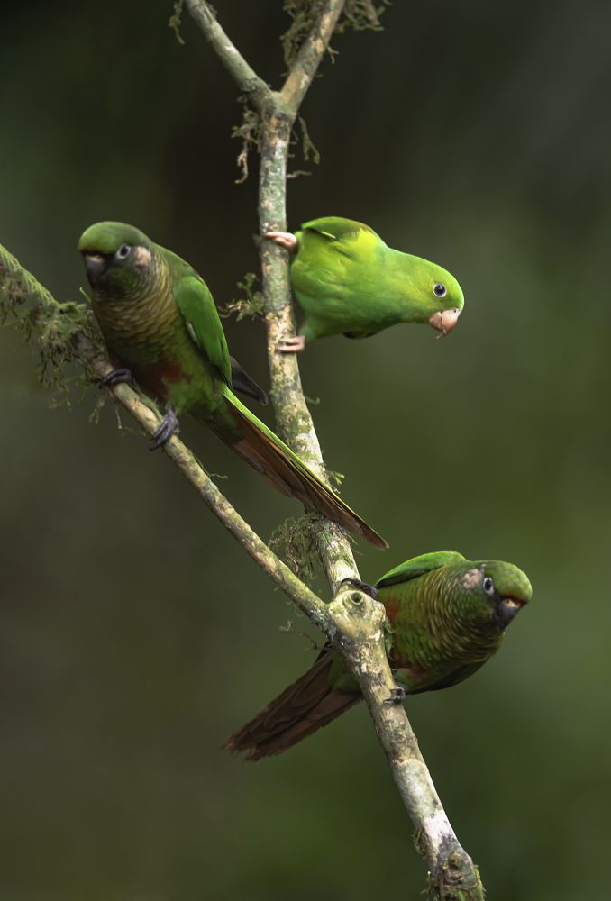 Photograph by Paulo Guerra