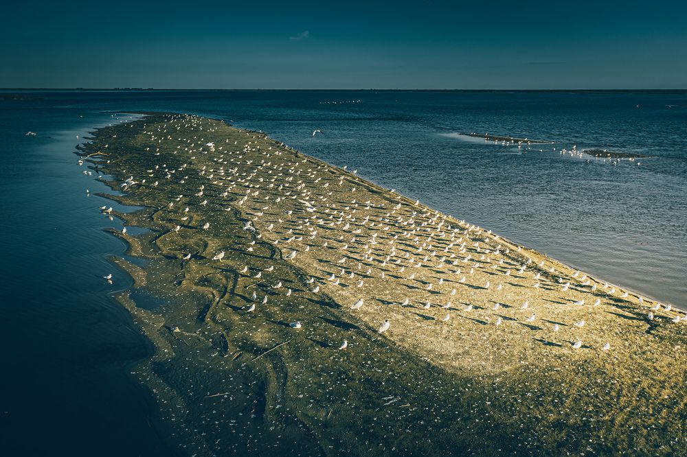 Photograph by Андрей Пугач