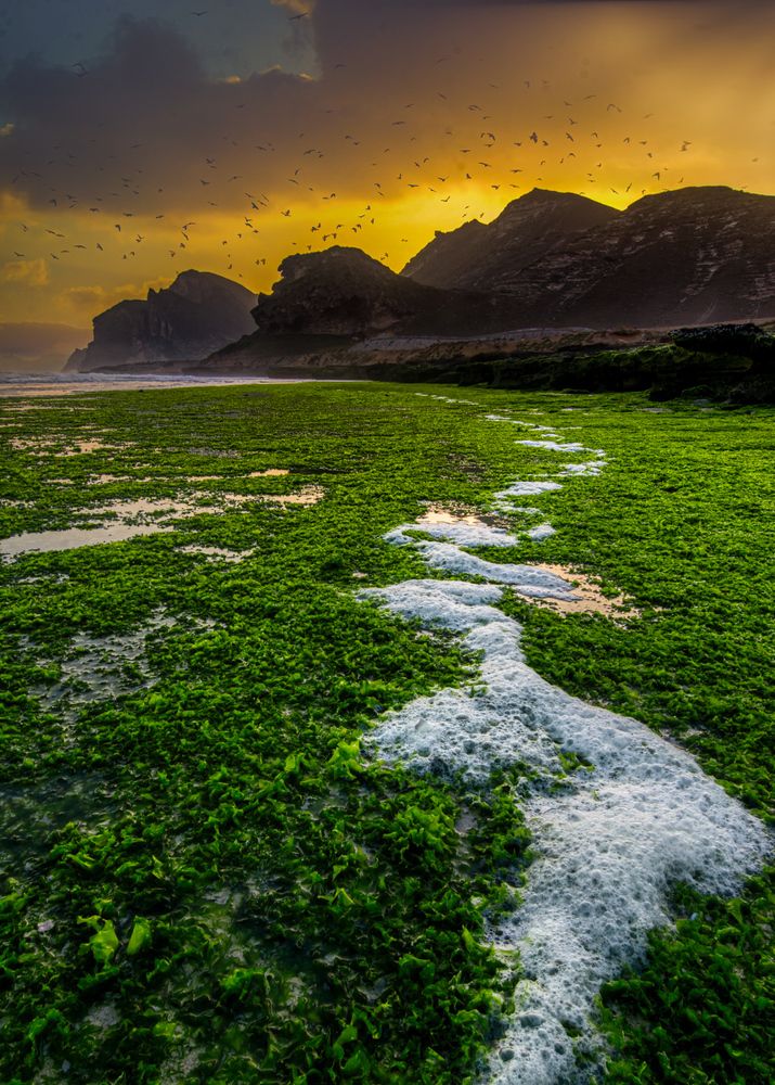 Photograph by Khalid Al-Wadhaihi