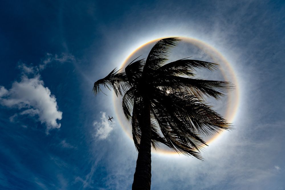 Escape from the Vicious Сircle