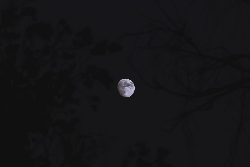 Photograph by Яна Петрова