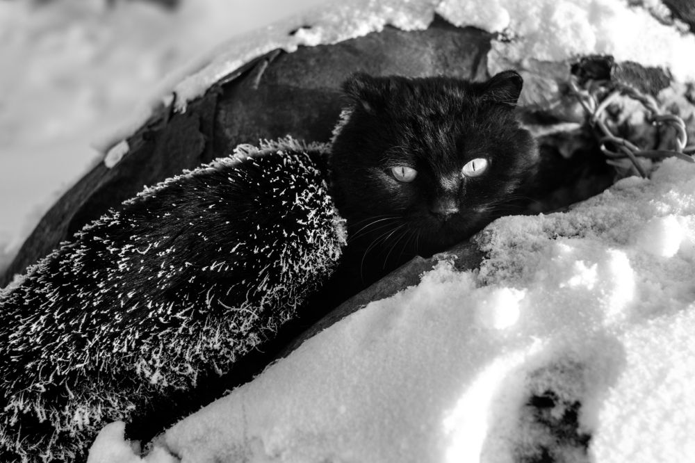 Photograph by Кирилл Трушин