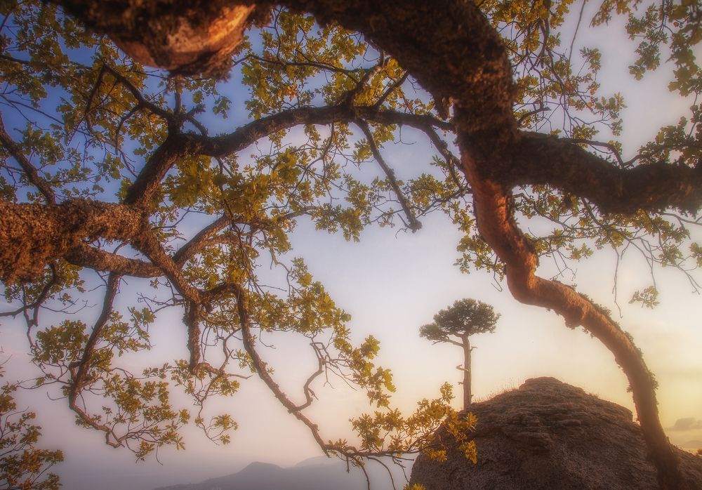 Photograph by Роман Любимский