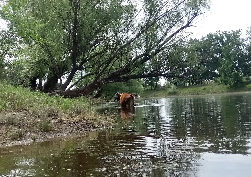 Photograph by Дмитрий Вязьмин