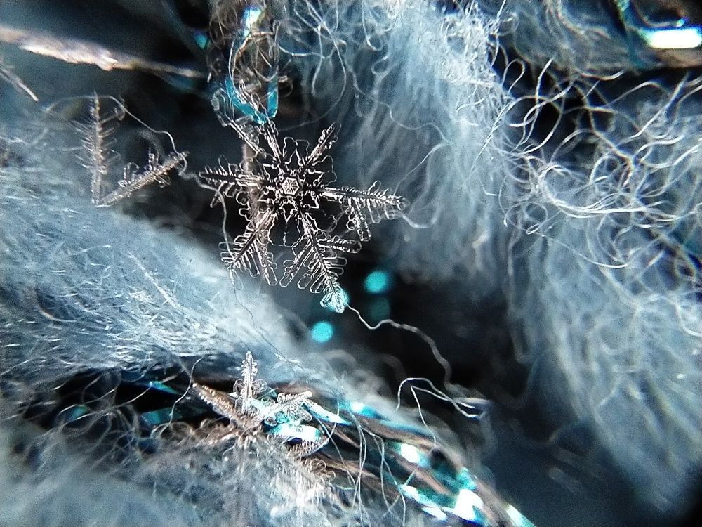 Photograph by Александра Лукашевич