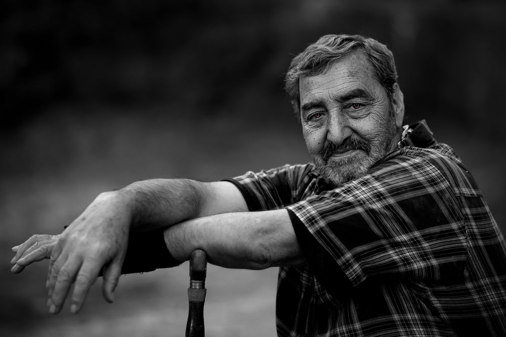 Photograph by javad bakhtiari