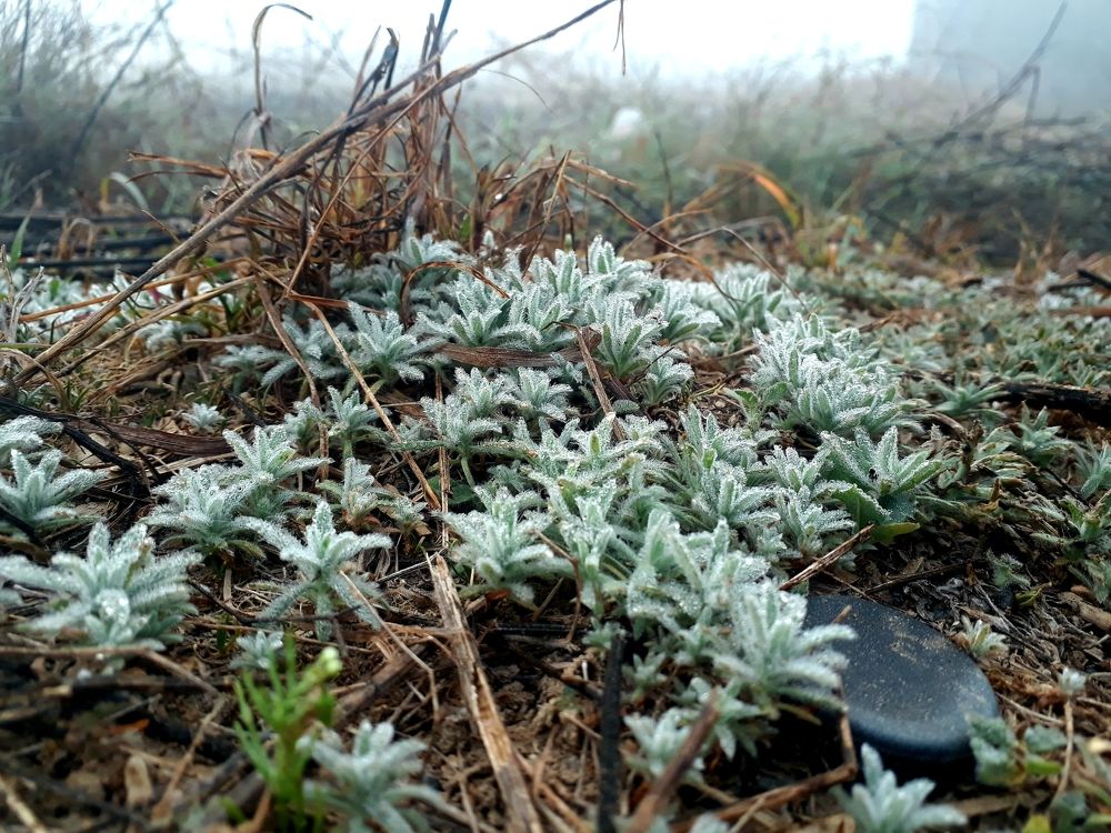 Photograph by DEEPAK BHANKHAR