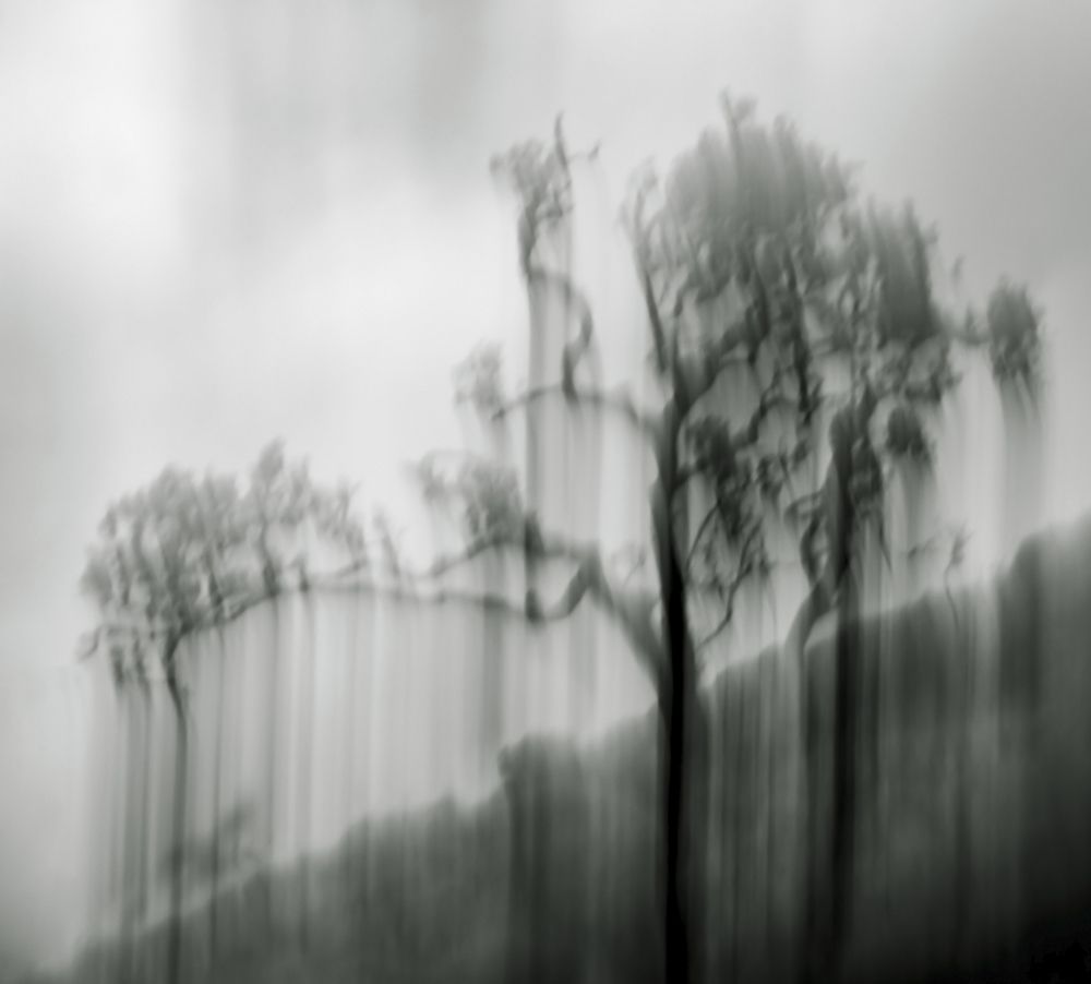 Photograph by Victoria Schaal