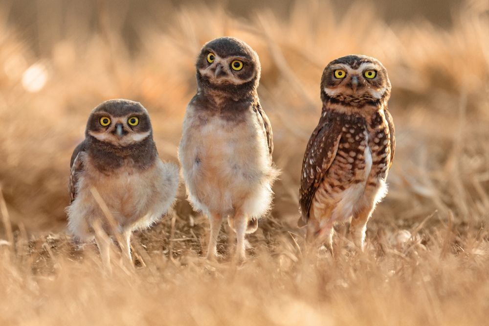 Photograph by Andre Miranda