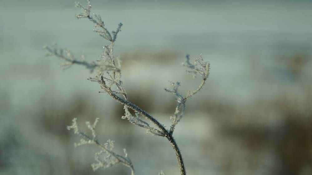 Photograph by Иван Кирилков