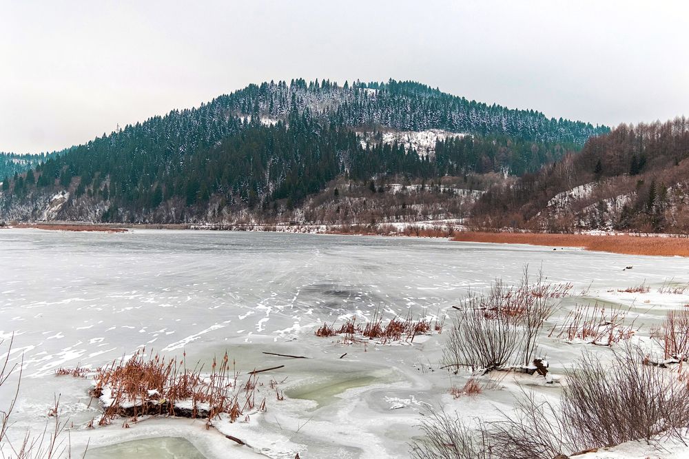 Photograph by Niko Lazur