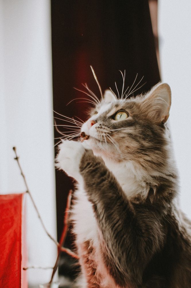 Photograph by Лейсан Абдразакова