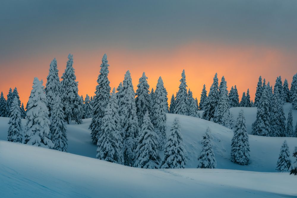 Photograph by Amadeja Knez