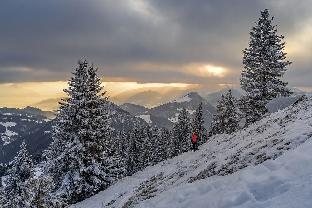 Photograph by Олег Мильбергер