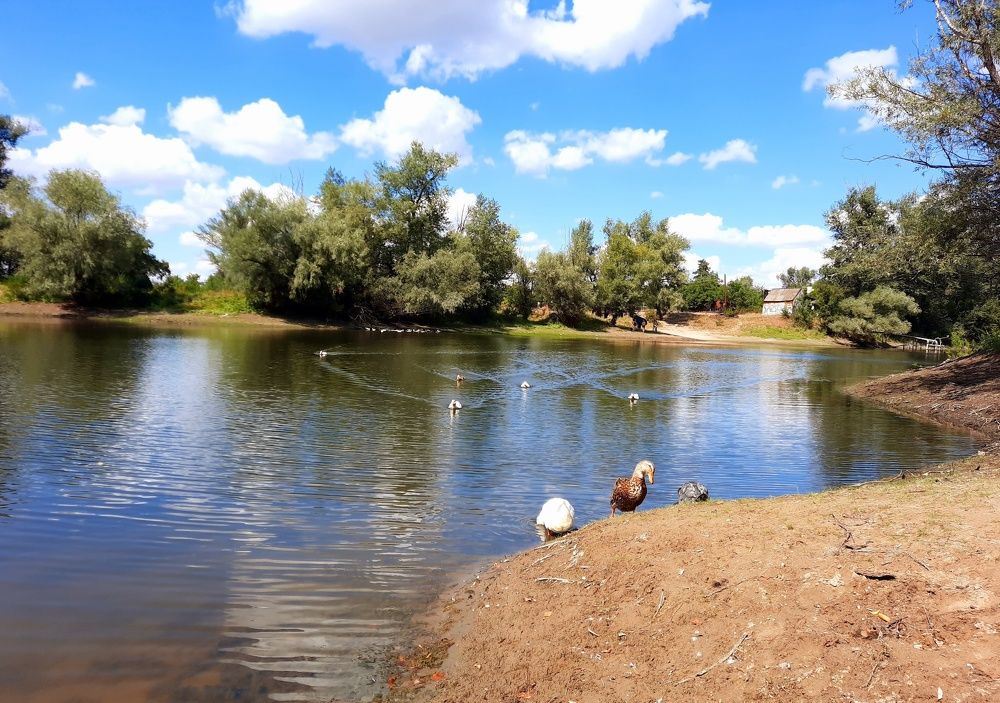 Photograph by Дмитрий Вязьмин