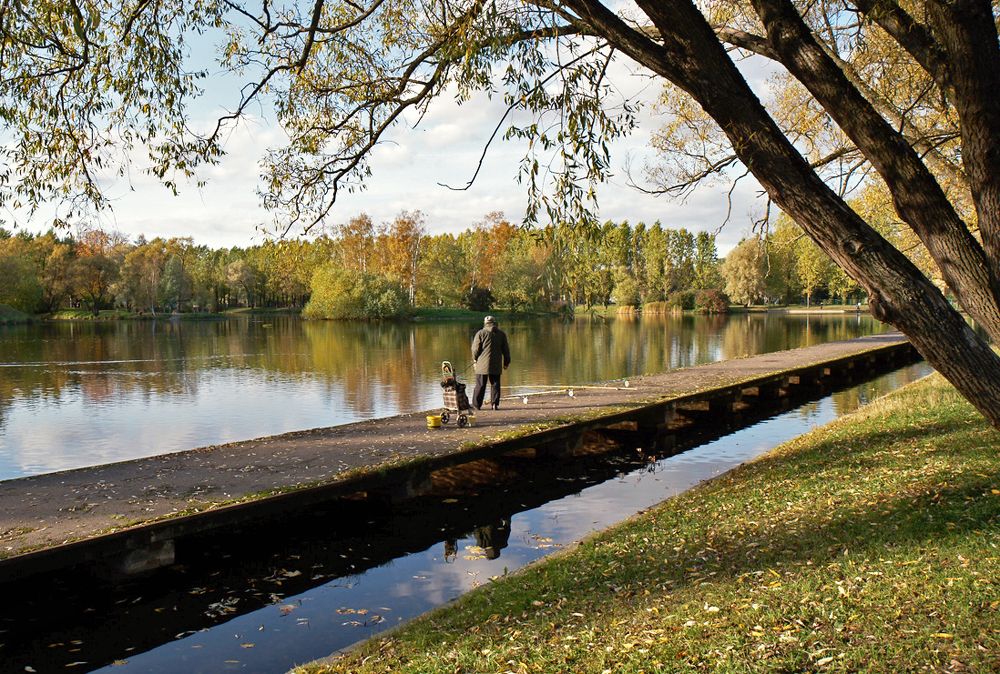 Фотография автора Валентина Харламова